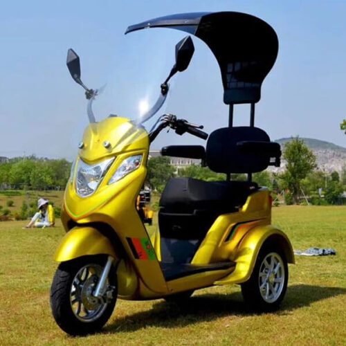 electric scooter with roof